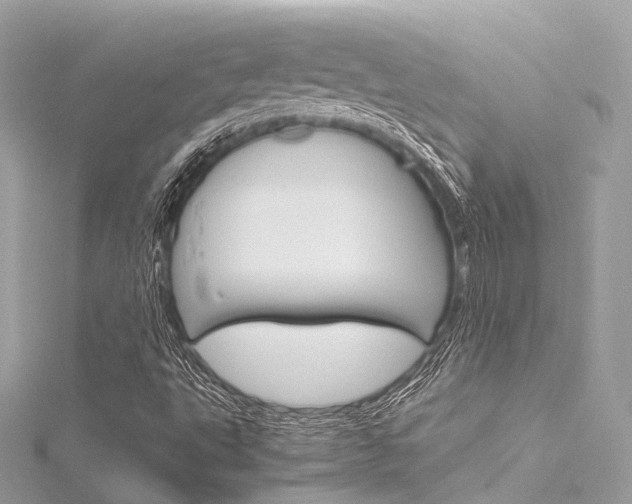 X0000116331495200912010954