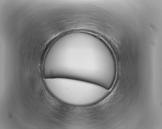 X0000116331497200912010954
