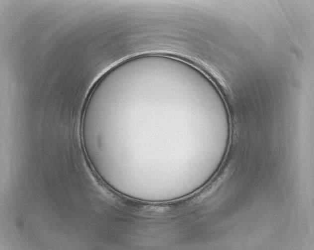 X0000116331513200912010954