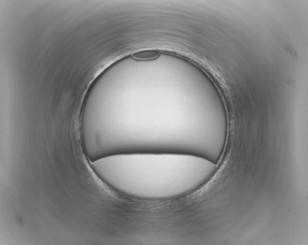 X0000116331521200912010954
