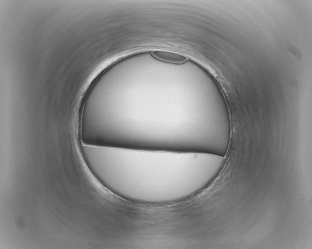 X0000116331523200912010954