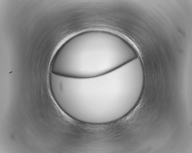 X0000116331533200912010955