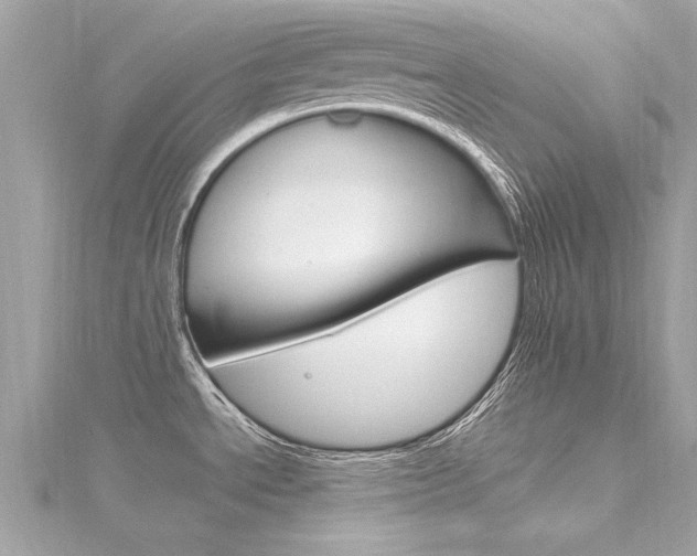 X0000116331534200912010955