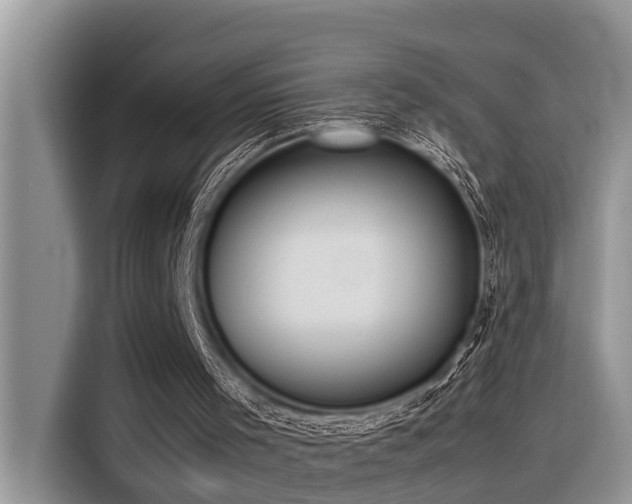 X0000116330001200912011142