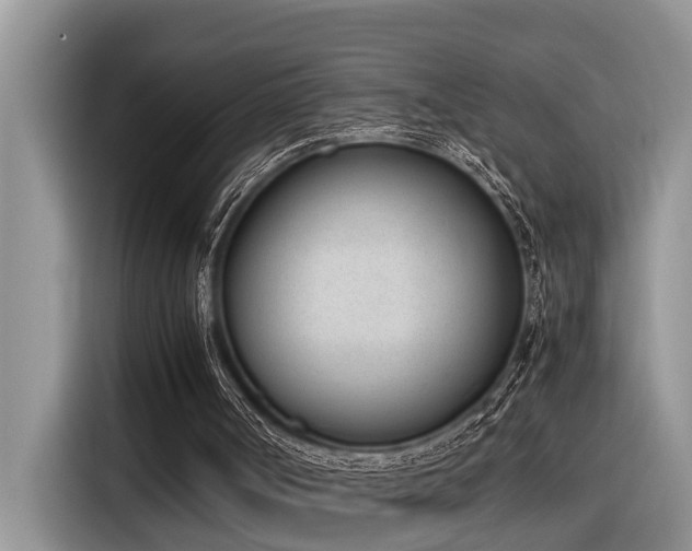 X0000116330002200912011142