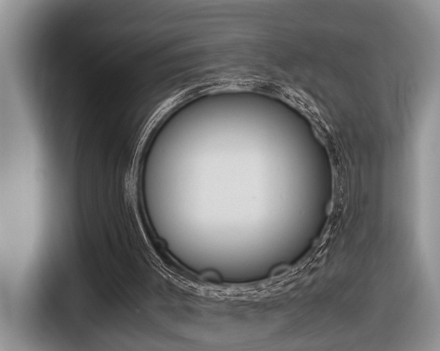 X0000116330003200912011142