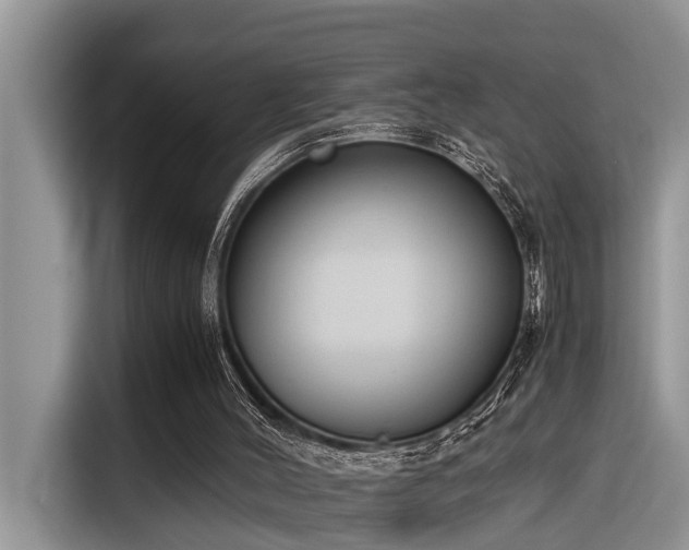 X0000116330004200912011142
