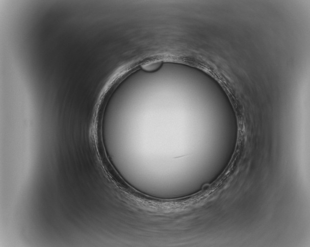 X0000116330006200912011142