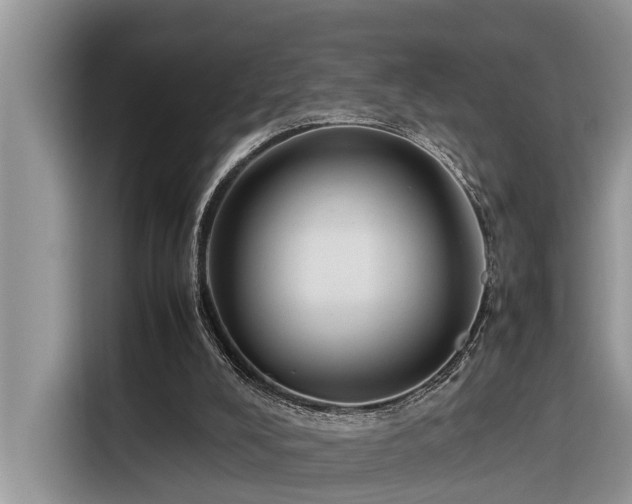 X0000116330008200912011142