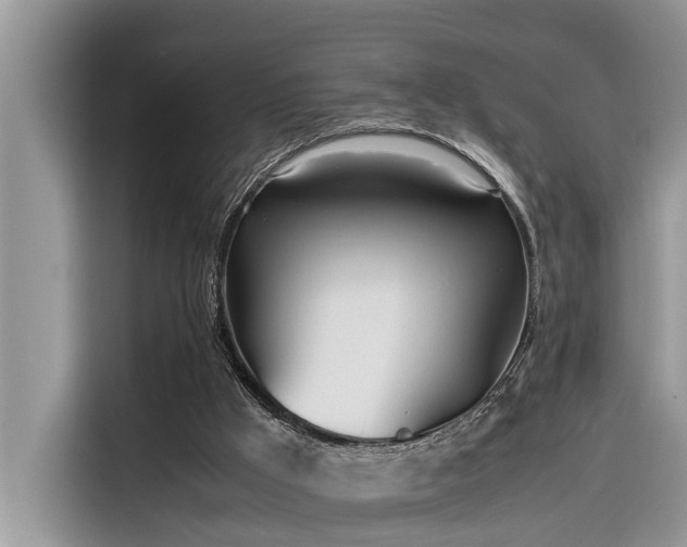 X0000116330009200912011142