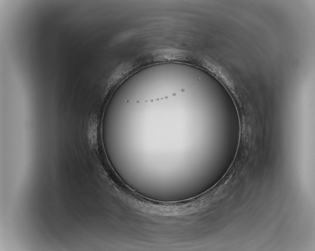 X0000116330010200912011142