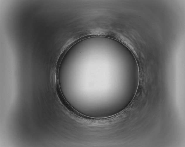 X0000116330011200912011142