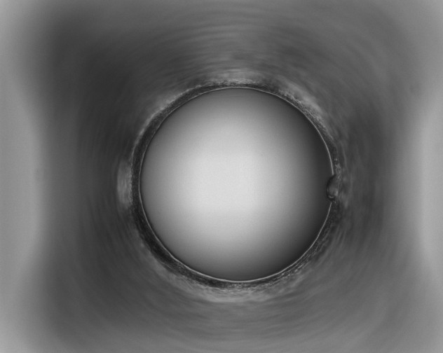 X0000116330012200912011141