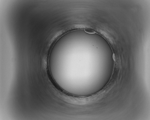 X0000116330015200912011141