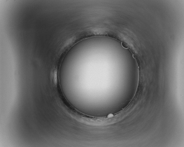 X0000116330019200912011141