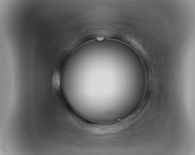 X0000116330021200912011141