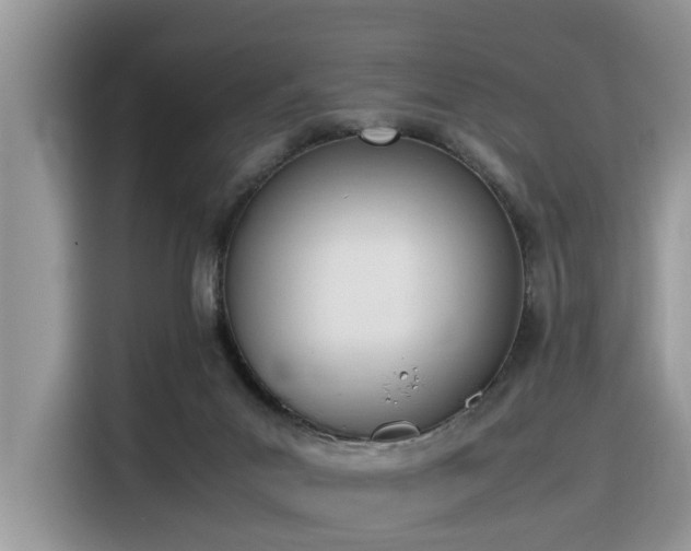 X0000116330023200912011141