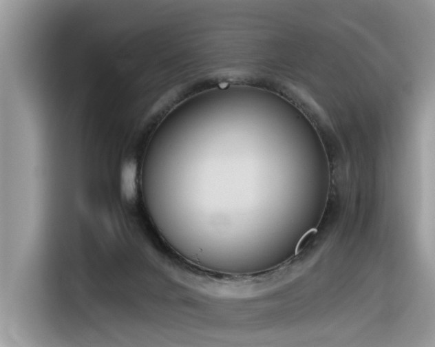 X0000116330024200912011141