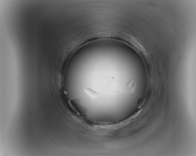 X0000116330025200912011141