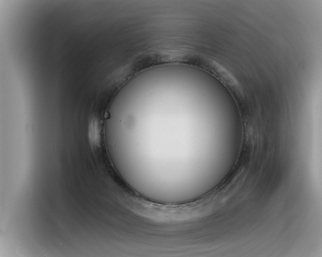 X0000116330026200912011141