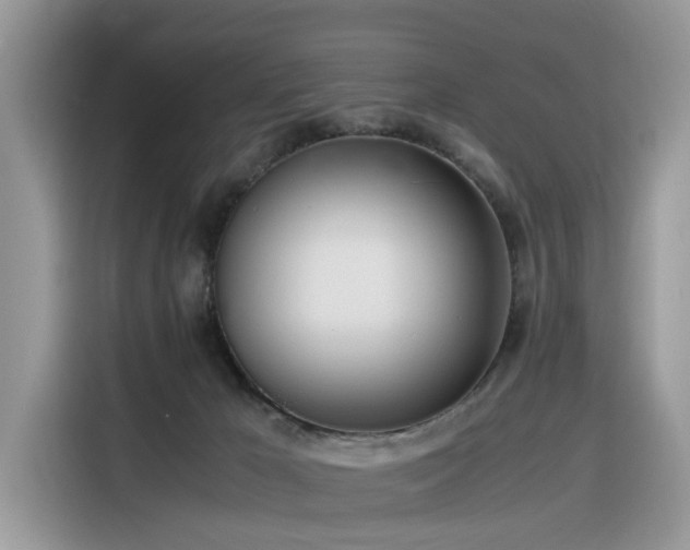 X0000116330029200912011141
