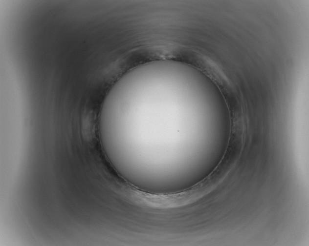 X0000116330030200912011141