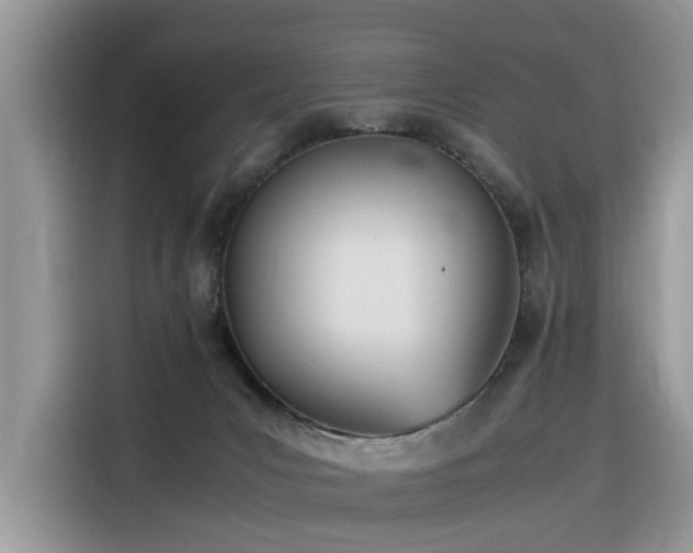 X0000116330031200912011141