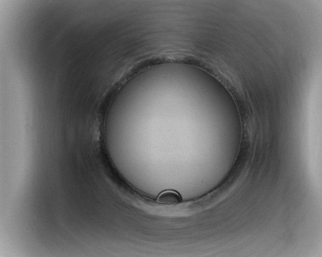 X0000116330032200912011141