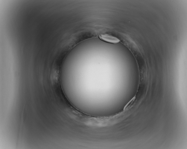 X0000116330033200912011141