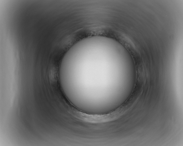 X0000116330034200912011141