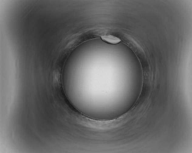 X0000116330035200912011141