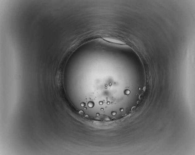 X0000116330036200912011141