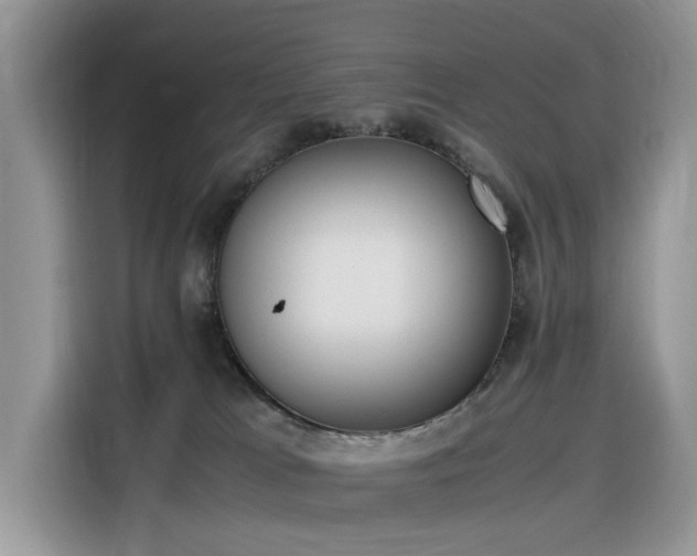 X0000116330037200912011141