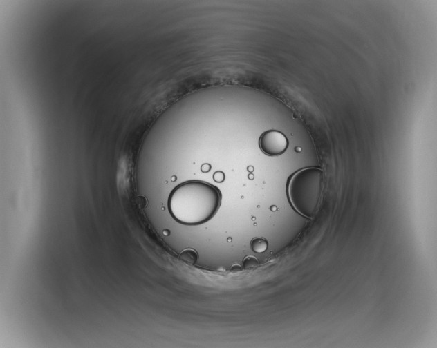 X0000116330038200912011141