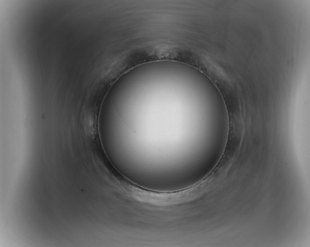 X0000116330039200912011141