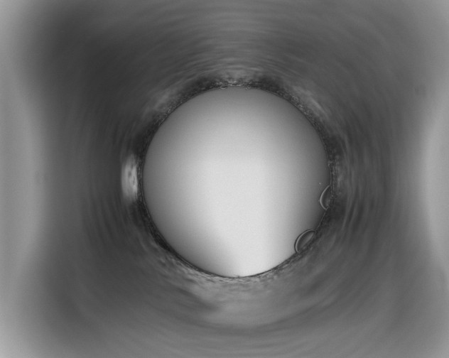 X0000116330042200912011141