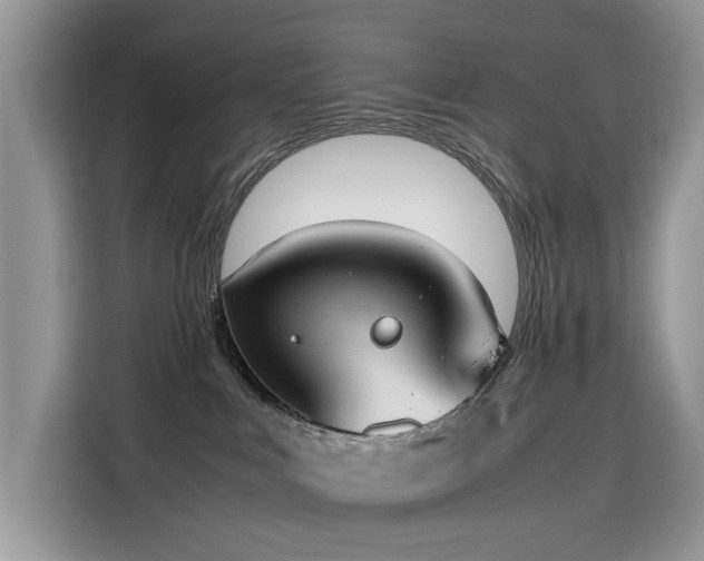 X0000116330043200912011141