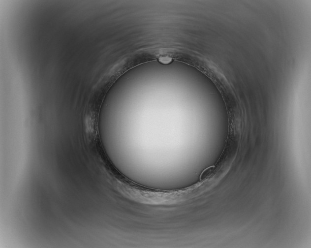 X0000116330044200912011141