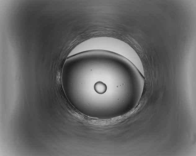 X0000116330045200912011141