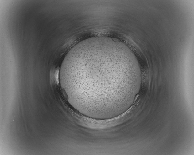 X0000116330047200912011141