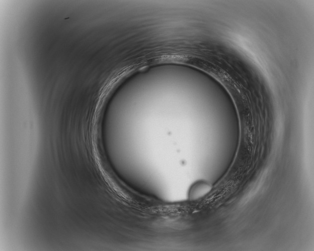X0000116330049200912011140