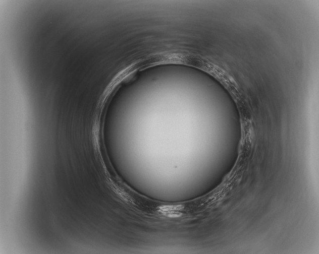 X0000116330051200912011140