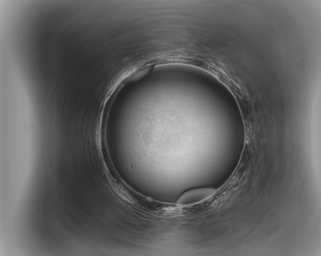 X0000116330052200912011140