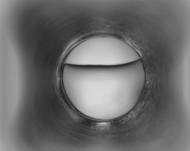 X0000116330053200912011140