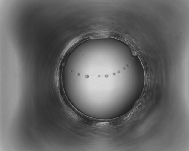 X0000116330054200912011140