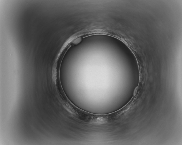 X0000116330056200912011140