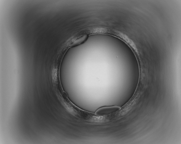 X0000116330057200912011141