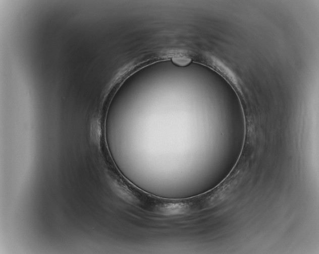 X0000116330059200912011141
