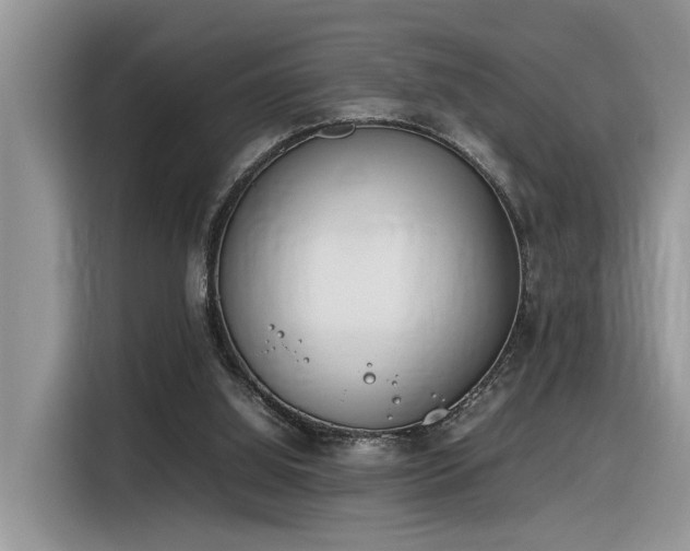 X0000116330060200912011141