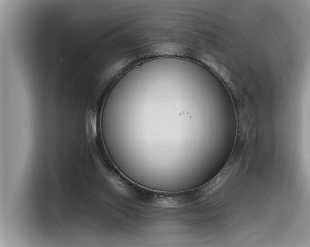 X0000116330062200912011141